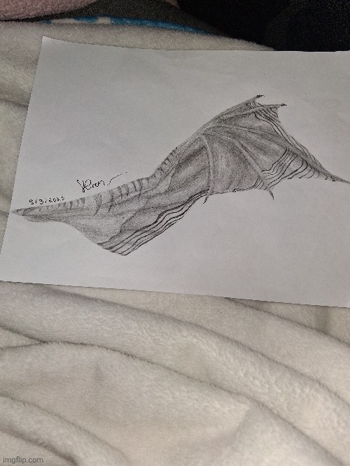 Wing drawing | made w/ Imgflip meme maker