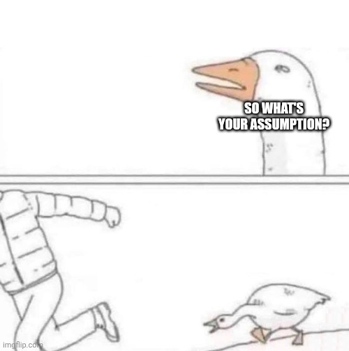 Goose Chase | SO WHAT'S YOUR ASSUMPTION? | image tagged in goose chase | made w/ Imgflip meme maker