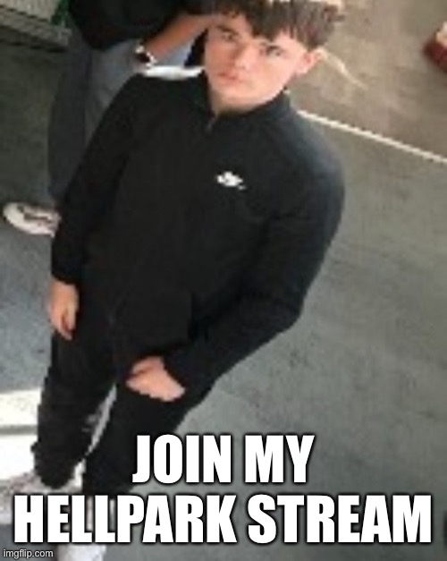 Emosnake staring | JOIN MY HELLPARK STREAM | image tagged in emosnake staring | made w/ Imgflip meme maker