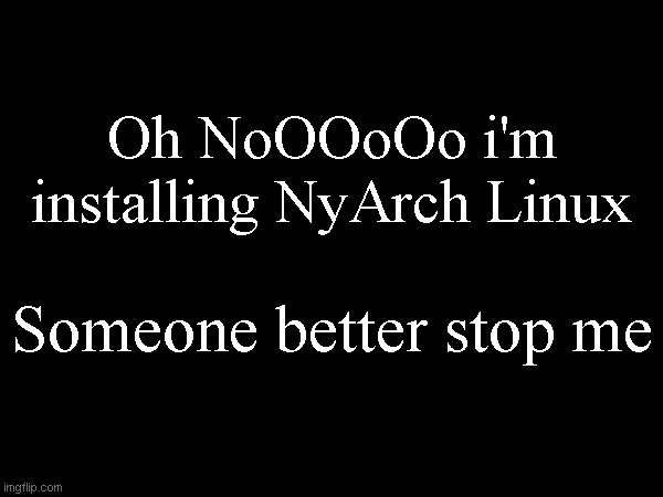 Oh NoOOoOo i'm installing NyArch Linux; Someone better stop me | made w/ Imgflip meme maker