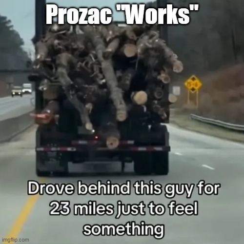 Better living through chemicals | Prozac "Works" | image tagged in prozac meme | made w/ Imgflip meme maker