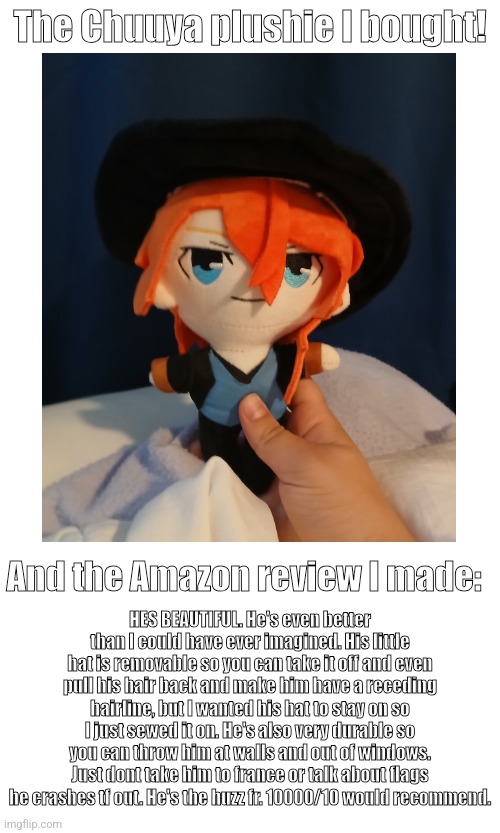 The Chuuya plushie I bought! And the Amazon review I made:; HES BEAUTIFUL. He's even better than I could have ever imagined. His little hat is removable so you can take it off and even pull his hair back and make him have a receding hairline, but I wanted his hat to stay on so I just sewed it on. He's also very durable so you can throw him at walls and out of windows. Just dont take him to france or talk about flags he crashes tf out. He's the huzz fr. 10000/10 would recommend. | made w/ Imgflip meme maker