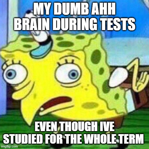 Me | MY DUMB AHH BRAIN DURING TESTS; EVEN THOUGH IVE STUDIED FOR THE WHOLE TERM | image tagged in triggerpaul,funny memes,front page plz | made w/ Imgflip meme maker