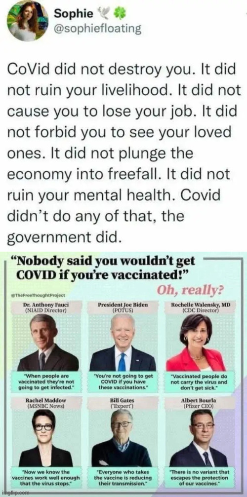 Blame the people who funded and used it for political power | image tagged in covid,vaccine,scam | made w/ Imgflip meme maker