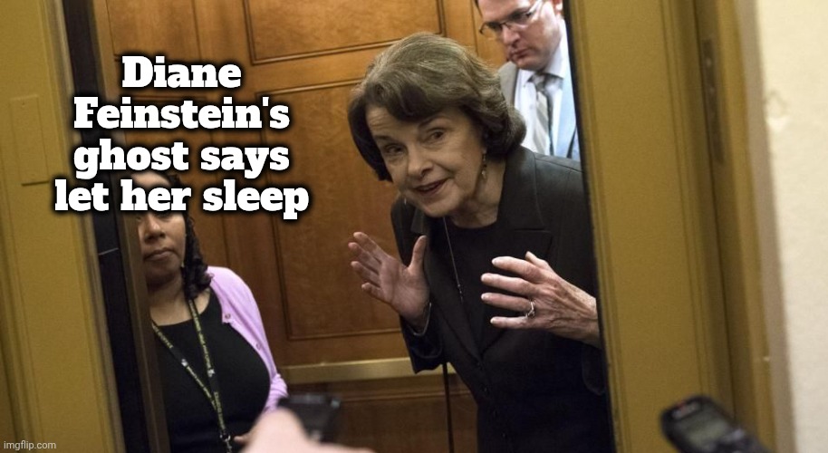 Sneaky Diane Feinstein | Diane Feinstein's ghost says let her sleep | image tagged in sneaky diane feinstein | made w/ Imgflip meme maker