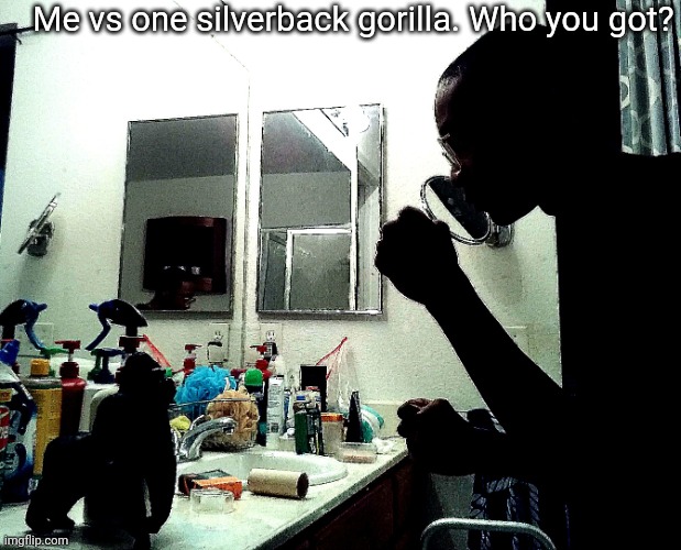 Me vs one silverback gorilla. Who you got? | made w/ Imgflip meme maker