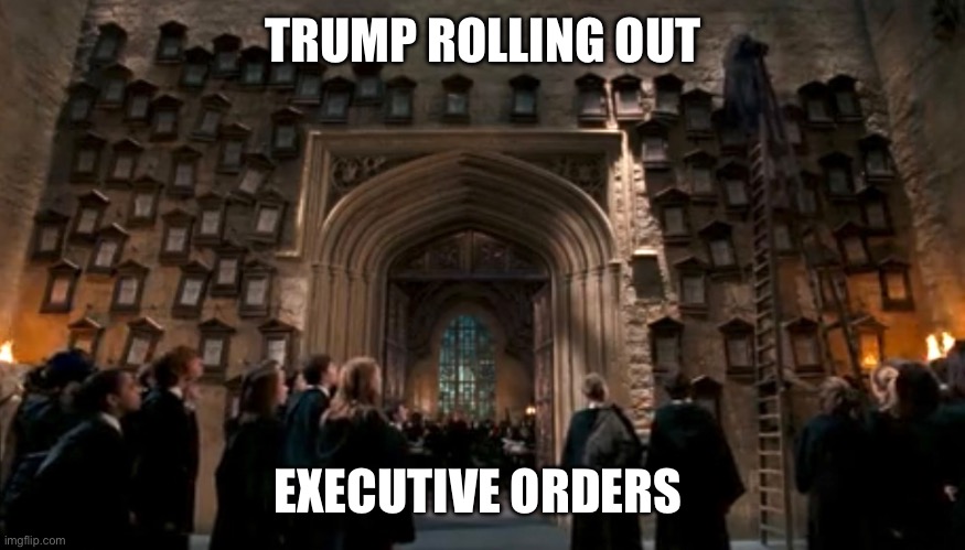 Trump executive orders | TRUMP ROLLING OUT; EXECUTIVE ORDERS | image tagged in trump,executive orders,harry potter meme | made w/ Imgflip meme maker