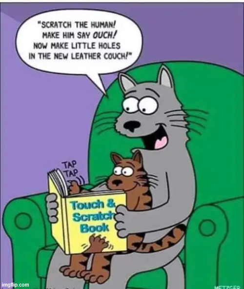 Kitty book | image tagged in repost,kitty book | made w/ Imgflip meme maker