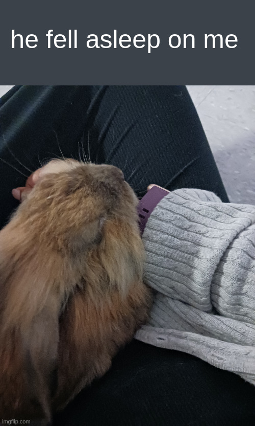 he fell asleep on me | made w/ Imgflip meme maker