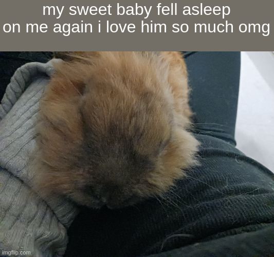 my sweet baby fell asleep on me again i love him so much omg | made w/ Imgflip meme maker