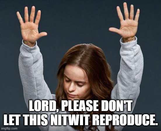 Praise the lord | LORD, PLEASE DON'T LET THIS NITWIT REPRODUCE. | image tagged in praise the lord | made w/ Imgflip meme maker