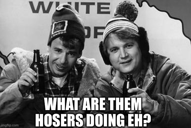 bob doug mackenzie | WHAT ARE THEM HOSERS DOING EH? | image tagged in bob doug mackenzie | made w/ Imgflip meme maker