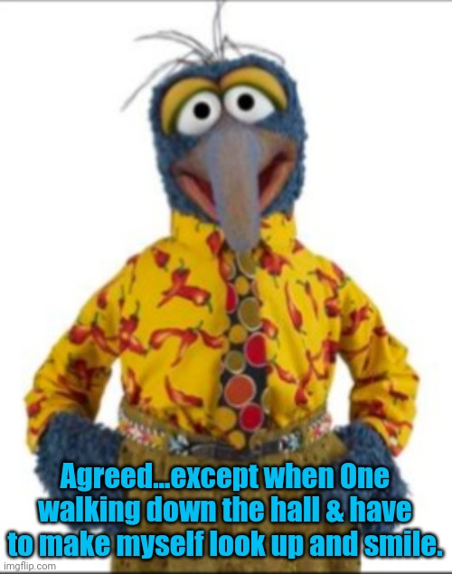 Gonzo | Agreed...except when One walking down the hall & have to make myself look up and smile. | image tagged in gonzo | made w/ Imgflip meme maker