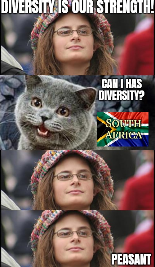DIVERSITY IS OUR STRENGTH! CAN I HAS DIVERSITY? South Africa; PEASANT | image tagged in diversity,identity politics,college liberal,can i has cheeseburger,south africa | made w/ Imgflip meme maker