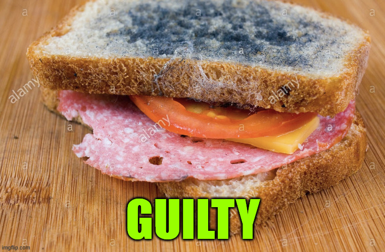 Moldy Ham Sandwich | GUILTY | image tagged in moldy ham sandwich | made w/ Imgflip meme maker