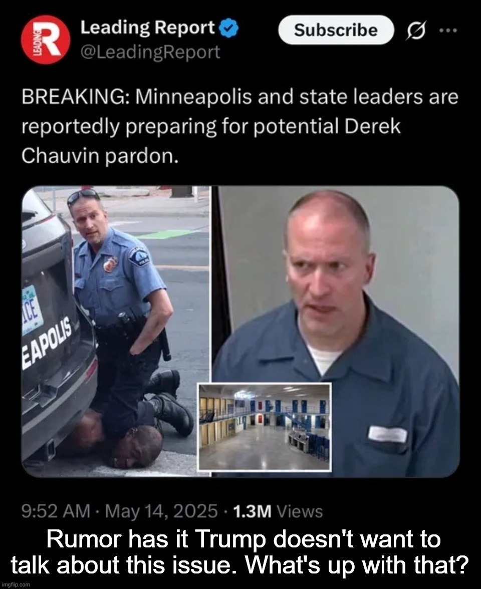 Rumor has it Trump doesn't want to talk about Fentanyl Floyd & Derek Chauvin. What's up with that? | image tagged in derek chauvin,i beg your pardon,pardon,minneapolis,minnesota,fentanyl floyd | made w/ Imgflip meme maker