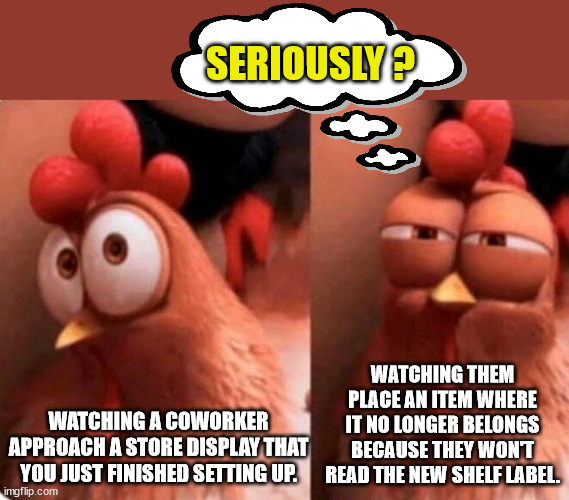 Working with children | SERIOUSLY ? WATCHING THEM PLACE AN ITEM WHERE IT NO LONGER BELONGS BECAUSE THEY WON'T READ THE NEW SHELF LABEL. WATCHING A COWORKER APPROACH A STORE DISPLAY THAT YOU JUST FINISHED SETTING UP. | image tagged in squinting chicken,merchandiser,display,restocking | made w/ Imgflip meme maker