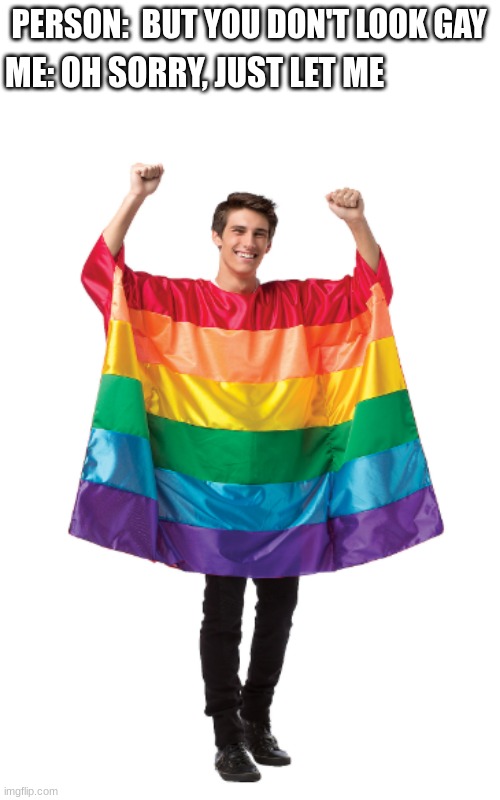 (Ada: yeah that's better. keep it that way.) | PERSON:  BUT YOU DON'T LOOK GAY; ME: OH SORRY, JUST LET ME | image tagged in tags,unnecessary tags,more tags | made w/ Imgflip meme maker