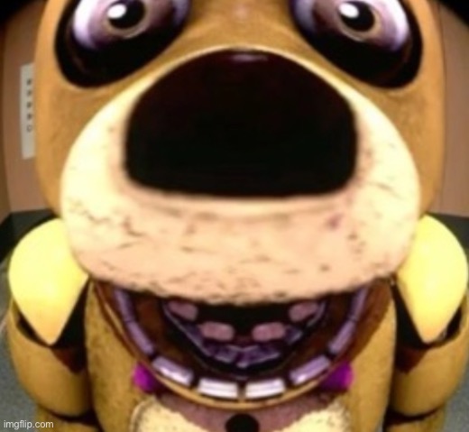 Gay title | image tagged in gay title | made w/ Imgflip meme maker