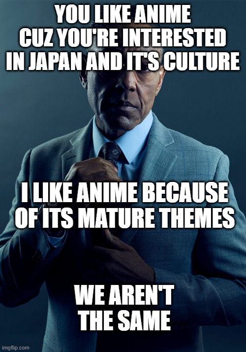 the bottom means anime in general because it is mostly not targeted towards children | YOU LIKE ANIME CUZ YOU'RE INTERESTED IN JAPAN AND IT'S CULTURE; I LIKE ANIME BECAUSE OF ITS MATURE THEMES; WE AREN'T THE SAME | image tagged in gus fring we are not the same | made w/ Imgflip meme maker