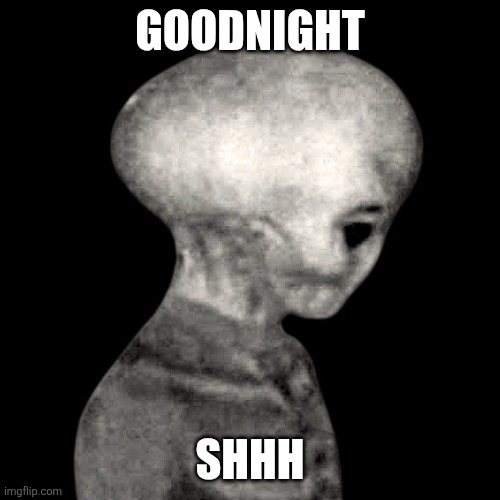 Alien sleep | GOODNIGHT; SHHH | image tagged in alien sleep | made w/ Imgflip meme maker