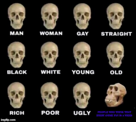 there is a difference between mature and immature anime fans | PEOPLE WHO THINK THAT EVERY ANIME FAN IS A WEEB | image tagged in idiot skull | made w/ Imgflip meme maker