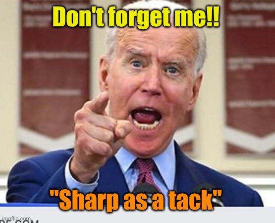 Joe Biden no malarkey | Don't forget me!! "Sharp as a tack" | image tagged in joe biden no malarkey | made w/ Imgflip meme maker