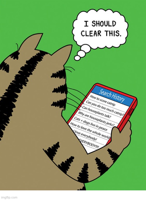 image tagged in cats,search history | made w/ Imgflip meme maker