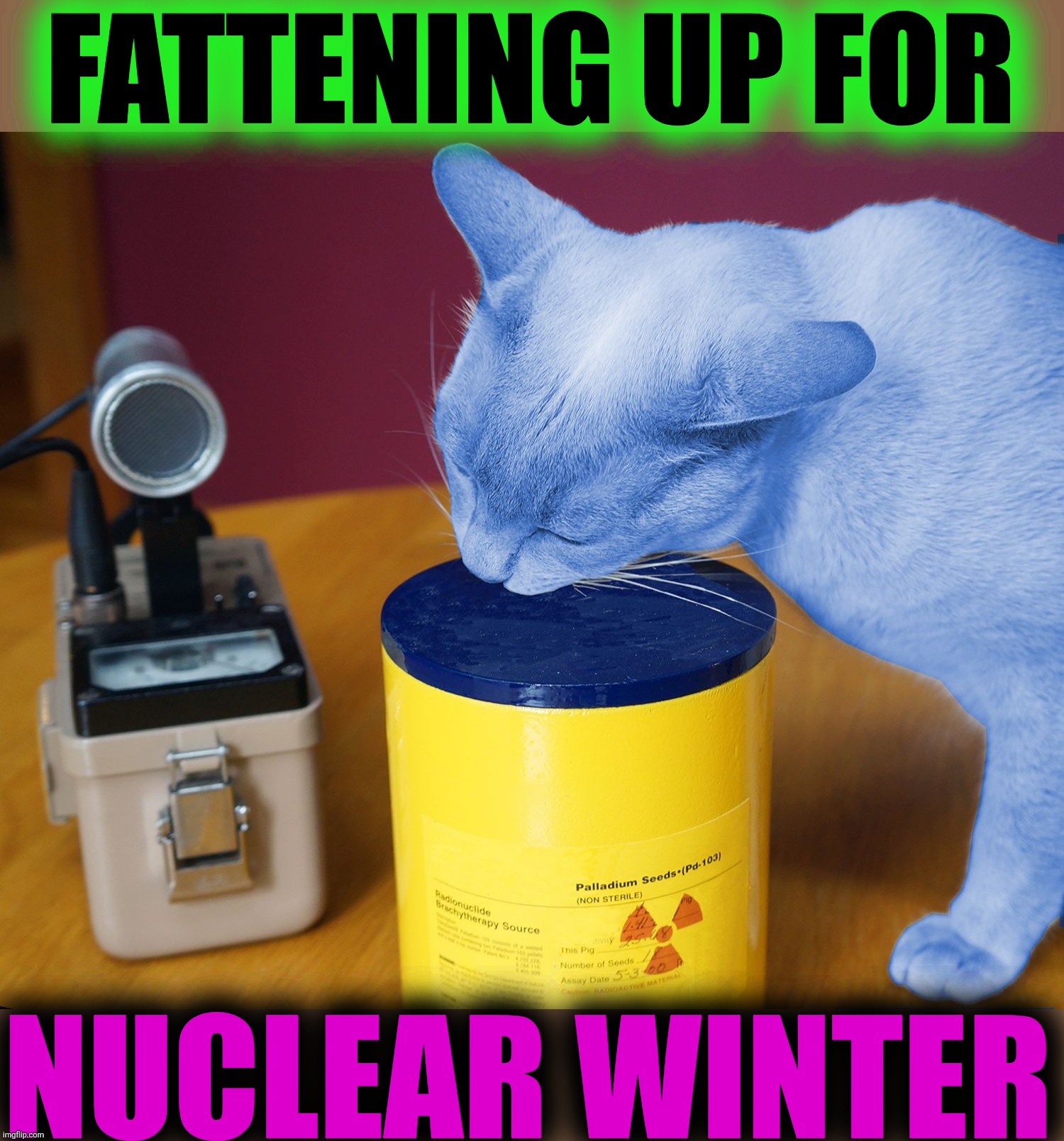 RayCat eating | FATTENING UP FOR NUCLEAR WINTER | image tagged in raycat eating | made w/ Imgflip meme maker