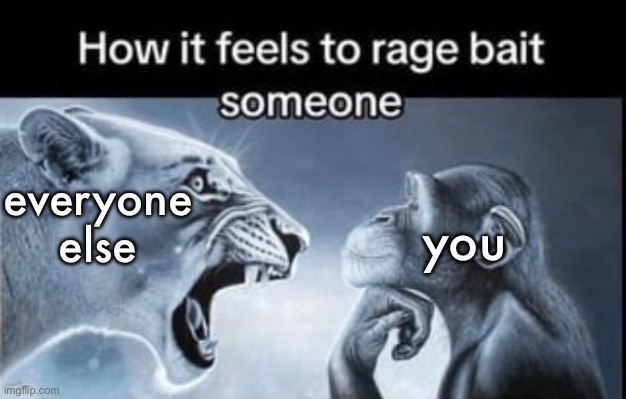 How it feels to rage bait someone | everyone else you | image tagged in how it feels to rage bait someone | made w/ Imgflip meme maker