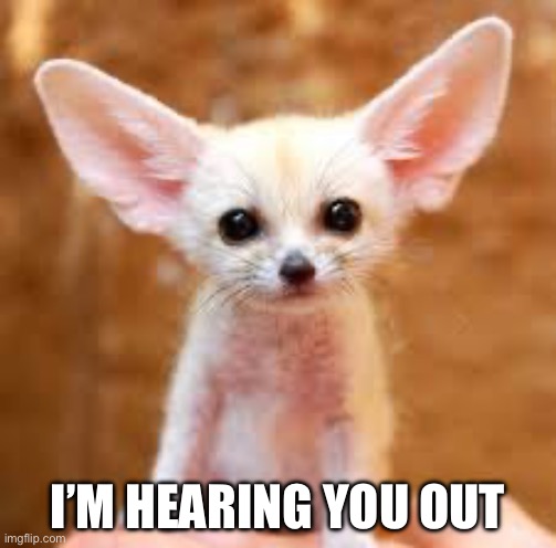 big ears | I’M HEARING YOU OUT | image tagged in big ears | made w/ Imgflip meme maker