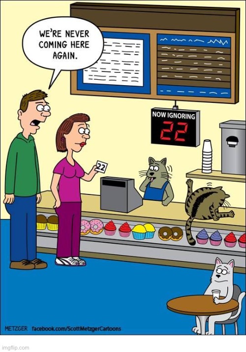 image tagged in cats,restaurant,ignoring us,bad service | made w/ Imgflip meme maker