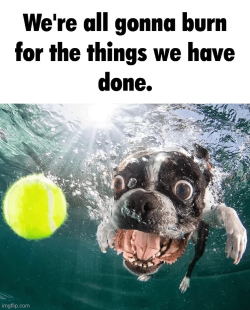 We’re gonna burn | image tagged in we re gonna burn | made w/ Imgflip meme maker