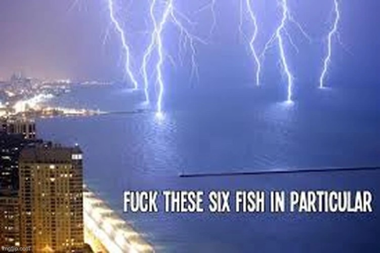 image tagged in fish | made w/ Imgflip meme maker