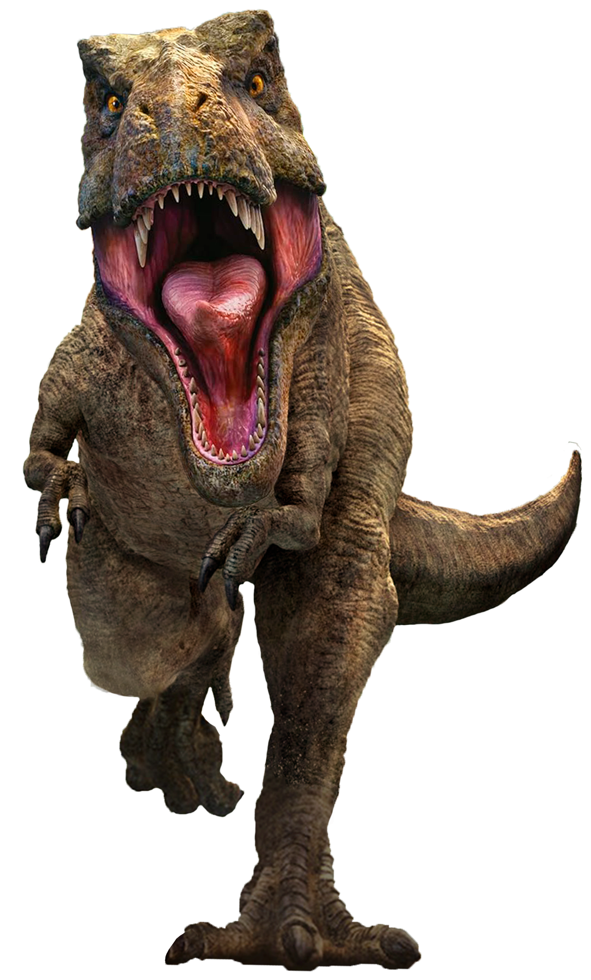 Rexy 29 Blank Meme Template