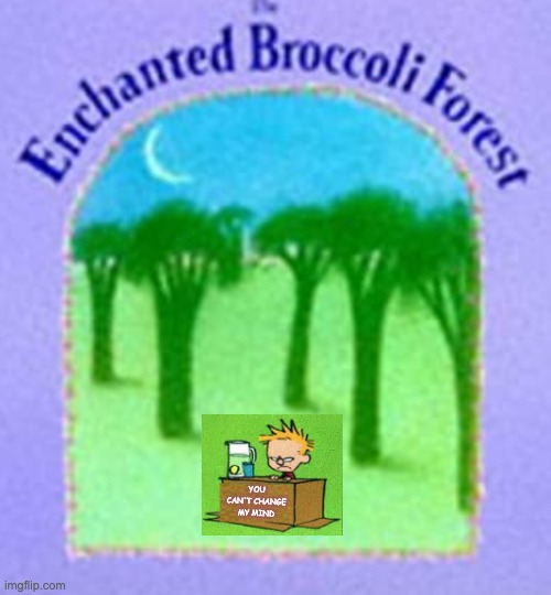 Inspired by Blossom R | YOU CAN'T CHANGE MY MIND | image tagged in calvin,books,food,broccoli,memes | made w/ Imgflip meme maker