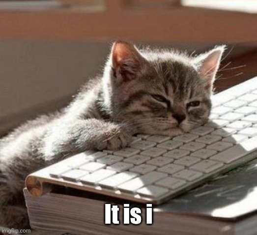 tired cat | It is i | image tagged in tired cat | made w/ Imgflip meme maker