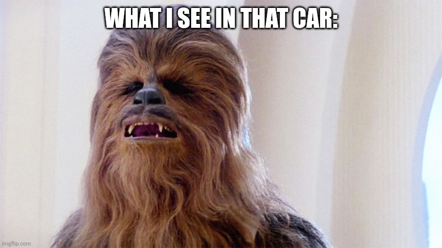 Chewbacca | WHAT I SEE IN THAT CAR: | image tagged in chewbacca | made w/ Imgflip meme maker