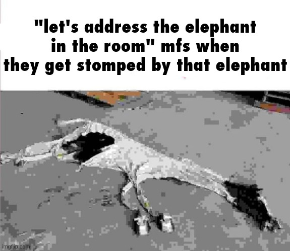 "let's address the elephant in the room" mfs when they get stomped by that elephant | made w/ Imgflip meme maker