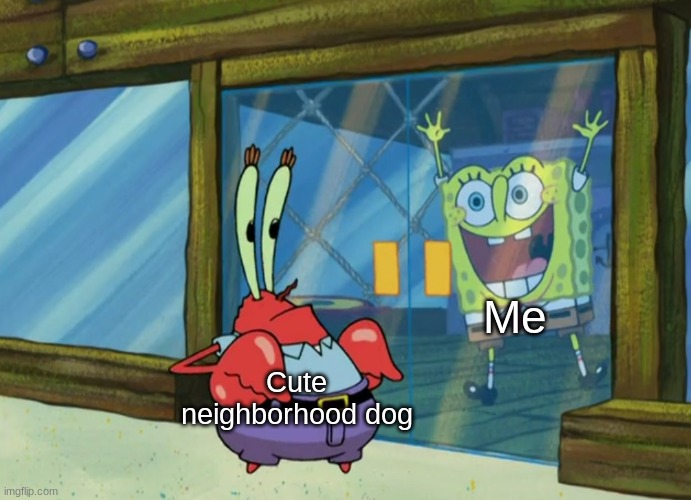 The excitement | Me; Cute neighborhood dog | image tagged in memes,funny,dog,spongebob,cute | made w/ Imgflip meme maker