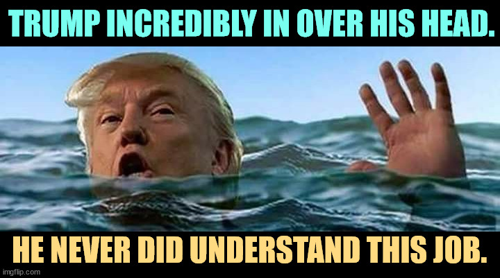 Trump, in over his head. Ignorant, selfish, dishonest, thin-skinned, vengeful, incompetent. | TRUMP INCREDIBLY IN OVER HIS HEAD. HE NEVER DID UNDERSTAND THIS JOB. | image tagged in trump in water over his head ocean drowning incompetence,trump,drowning,incompetence,inadequate | made w/ Imgflip meme maker