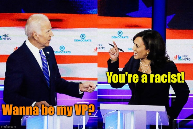 Kamala Harris Attacks Joe Biden | You're a racist! Wanna be my VP? | image tagged in kamala harris attacks joe biden | made w/ Imgflip meme maker