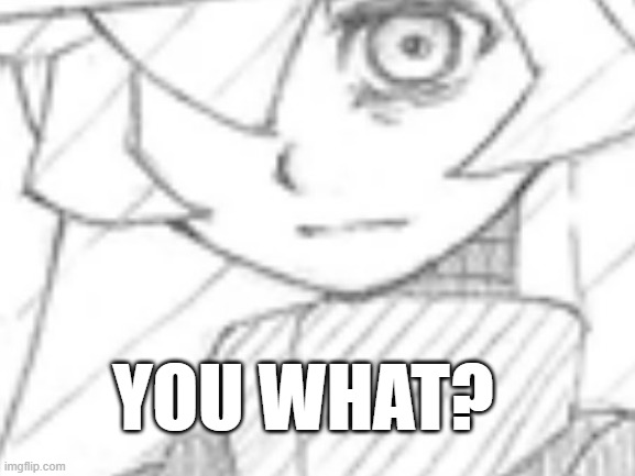 You what? | YOU WHAT? | image tagged in you what | made w/ Imgflip meme maker