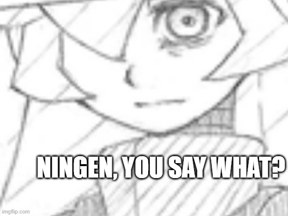 Ningen, you say what. | NINGEN, YOU SAY WHAT? | image tagged in what did you say | made w/ Imgflip meme maker