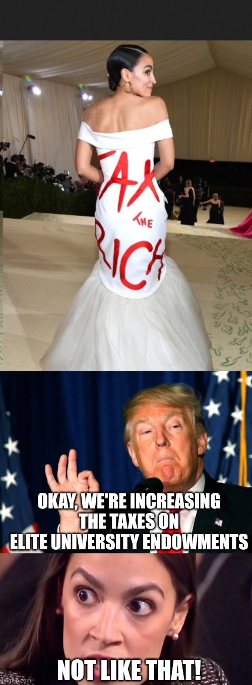 wish granted | OKAY, WE'RE INCREASING THE TAXES ON ELITE UNIVERSITY ENDOWMENTS; NOT LIKE THAT! | image tagged in aoc-eat-the-rich-dress,trump's okay,aoc mad | made w/ Imgflip meme maker