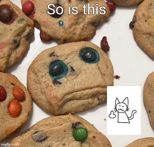 Sad cookie | So is this | image tagged in sad cookie | made w/ Imgflip meme maker