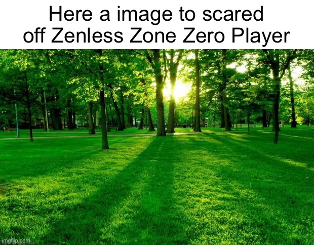 Grass and trees | Here a image to scared off Zenless Zone Zero Player | image tagged in grass and trees | made w/ Imgflip meme maker