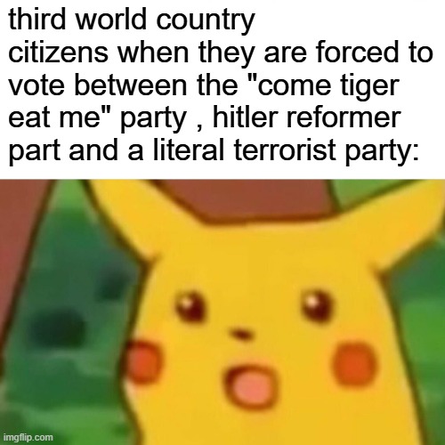 i might offend some peopl- | third world country citizens when they are forced to vote between the "come tiger eat me" party , hitler reformer part and a literal terrorist party: | image tagged in memes,surprised pikachu,politics | made w/ Imgflip meme maker