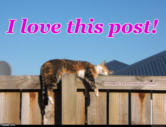 I Love this Post! | I love this post! @SongofGrace @OneJoyfulNoise | image tagged in catnap | made w/ Imgflip meme maker