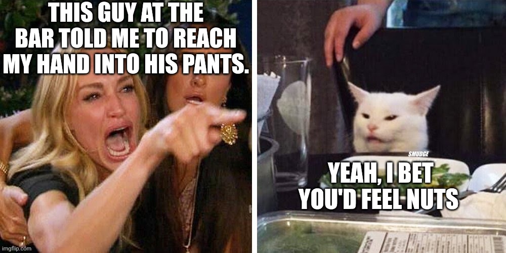 Smudge that darn cat with Karen | THIS GUY AT THE BAR TOLD ME TO REACH MY HAND INTO HIS PANTS. YEAH, I BET YOU'D FEEL NUTS | image tagged in smudge that darn cat with karen | made w/ Imgflip meme maker